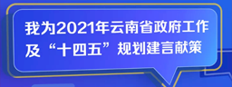 我为2021年云南省政府工作及“十四五”规划建言献策